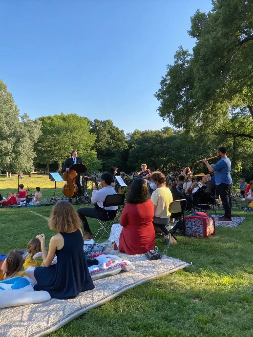 A photo of a diverse group of people attending a HASTONMUSIC PRODUCTION-organized concert in a community park, emphasizing accessibility and community engagement.